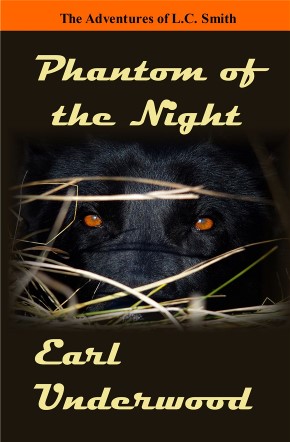 Front cover of Phantom of the Night